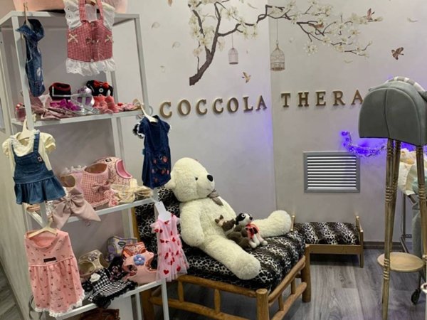 negozio in vendita a Rivoli