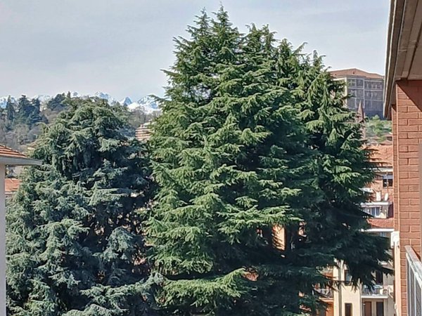 appartamento in vendita a Rivoli