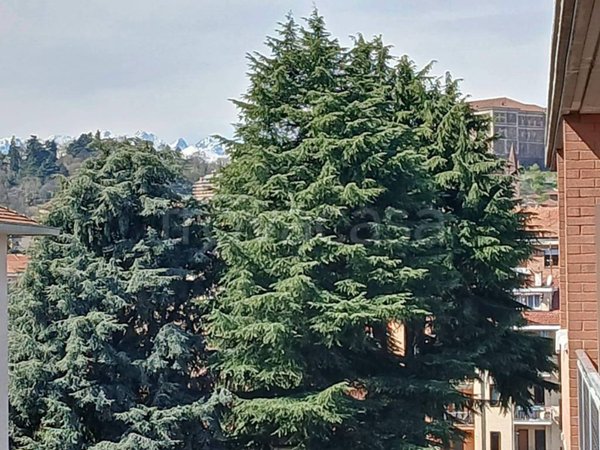appartamento in vendita a Rivoli in zona Cascine Vica