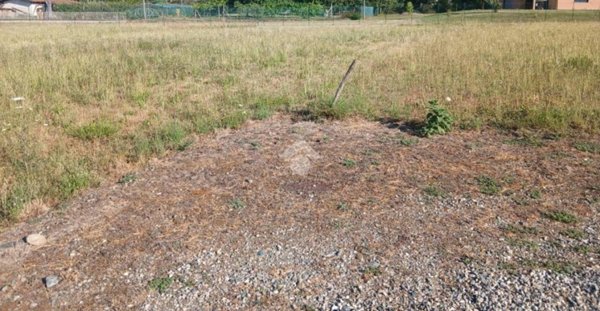 terreno agricolo in vendita a Rocca Canavese