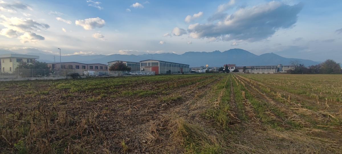 terreno agricolo in vendita a Roletto