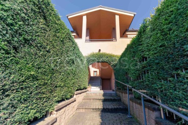 immagine annuncio 0 di 15