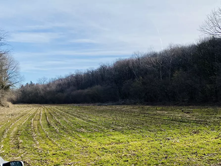 terreno agricolo in vendita a Rosta