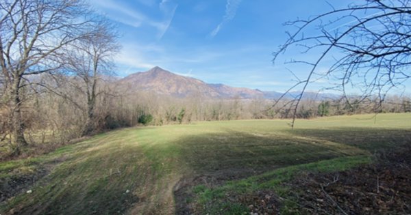 terreno agricolo in vendita a Rosta