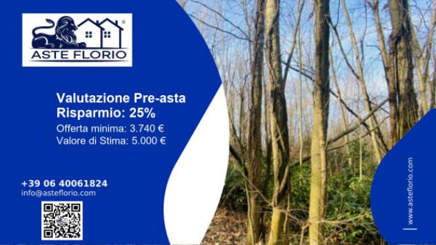 terreno agricolo in vendita a Rosta