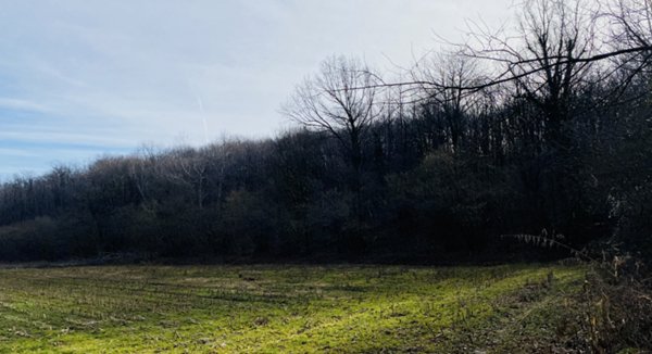 terreno agricolo in vendita a Rosta