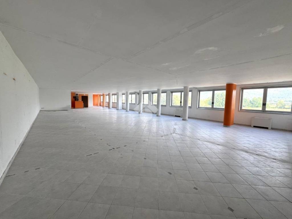 immagine annuncio 0 di 15