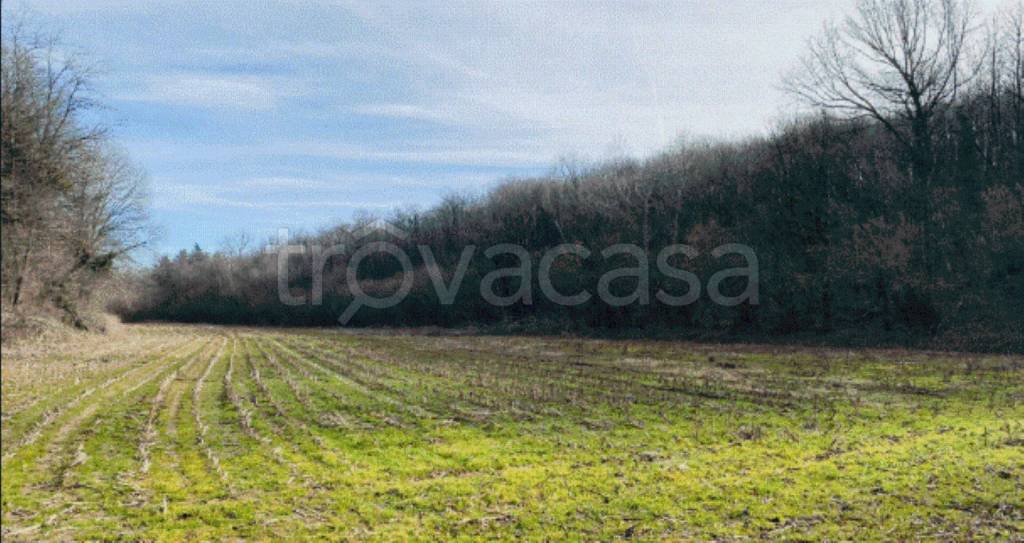 immagine annuncio 0 di 11