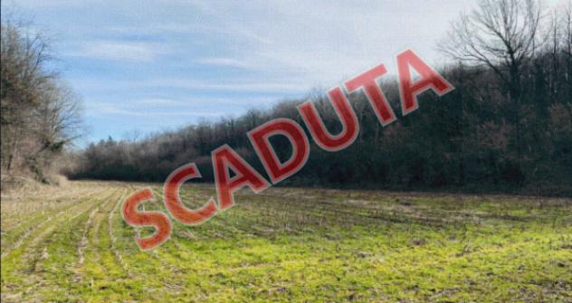 terreno agricolo in vendita a Rosta