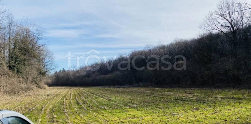 terreno agricolo in vendita a Rosta