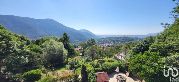 immagine annuncio 0 di 15