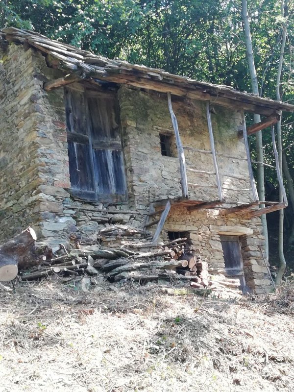 appartamento in vendita a Rueglio