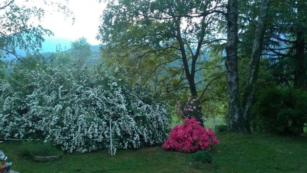 pentavano in vendita a Rueglio
