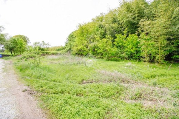 terreno agricolo in vendita a San Benigno Canavese