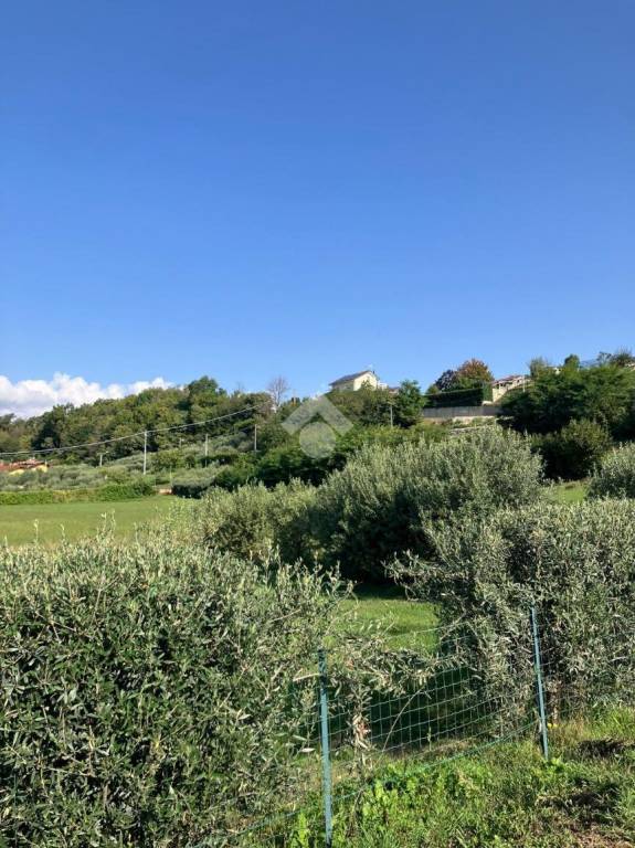 terreno agricolo in vendita a San Carlo Canavese