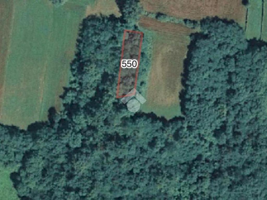 terreno agricolo in vendita a San Carlo Canavese