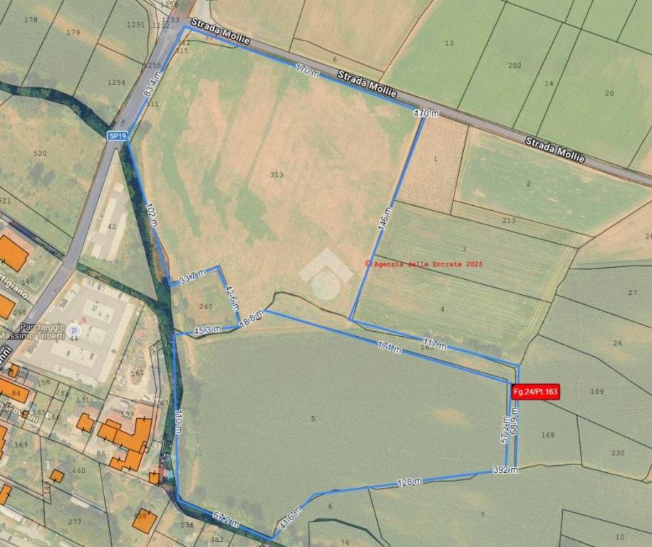 terreno agricolo in vendita a San Carlo Canavese