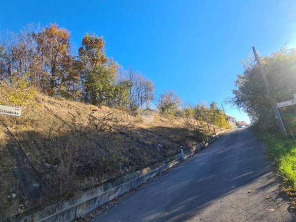 terreno agricolo in vendita a San Francesco al Campo
