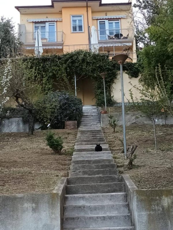 casa indipendente in vendita a San Francesco al Campo