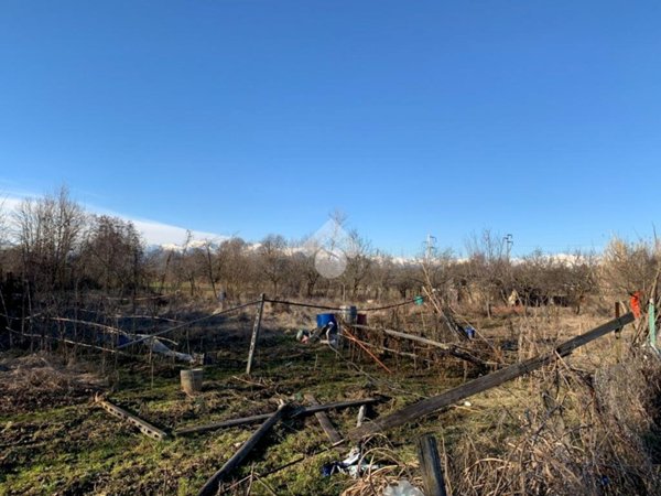 terreno agricolo in vendita a San Francesco al Campo