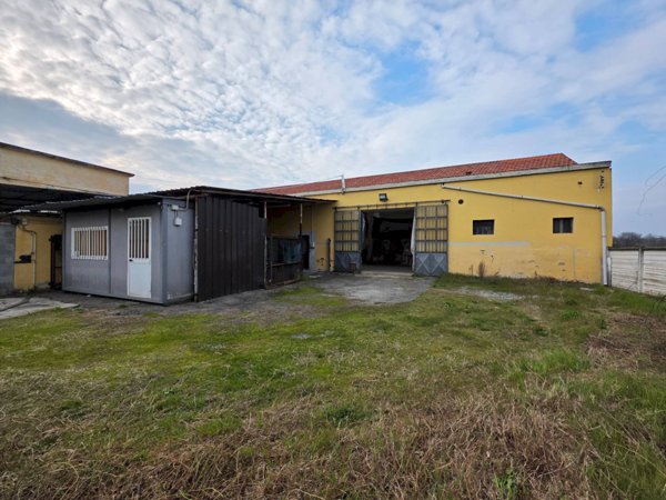 immagine annuncio 0 di 15