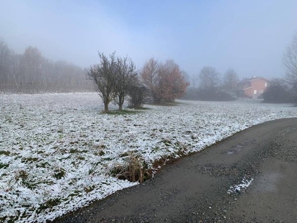 terreno agricolo in vendita a Sangano
