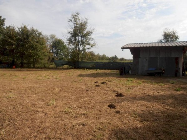 terreno agricolo in vendita a San Gillio