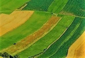 terreno agricolo in vendita a San Gillio