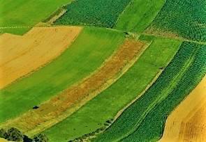 terreno agricolo in vendita a San Gillio