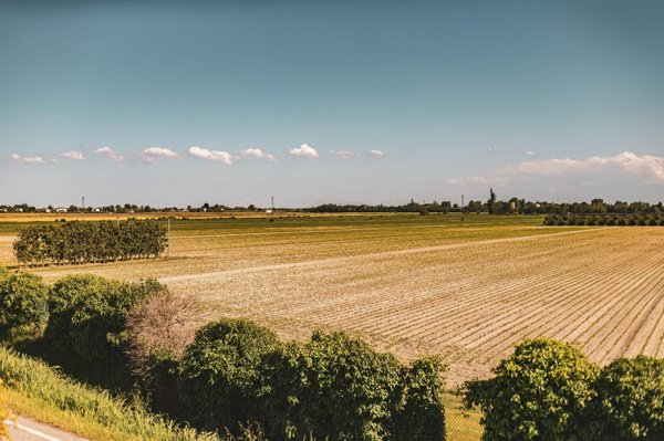 terreno edificabile in vendita a San Gillio