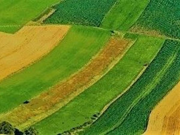 terreno agricolo in vendita a San Gillio