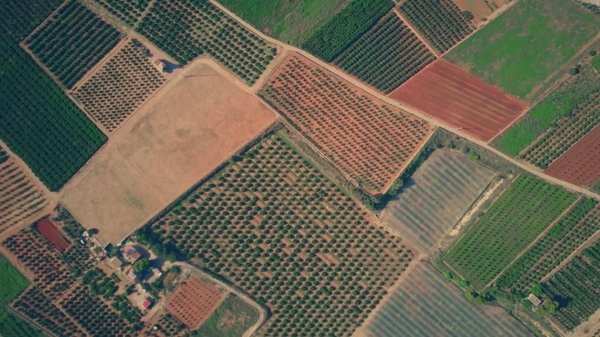 terreno agricolo in vendita a San Gillio