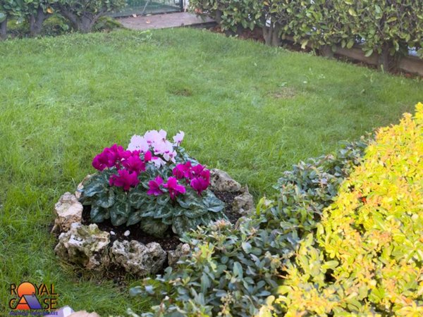 casa indipendente in vendita a San Gillio