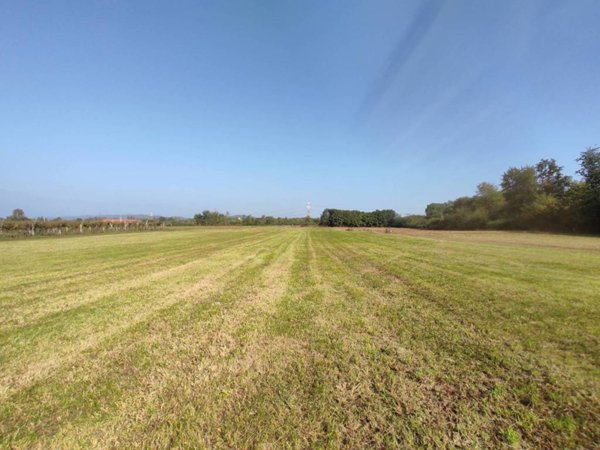 terreno agricolo in vendita a San Giorgio Canavese