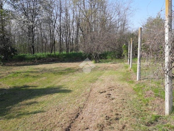 terreno agricolo in vendita a San Giorgio Canavese