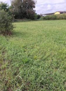 terreno agricolo in vendita a San Giorgio Canavese in zona Cortereggio