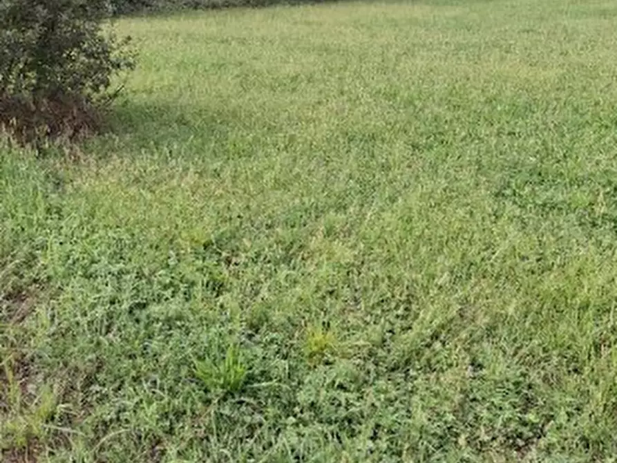 terreno agricolo in vendita a San Giorgio Canavese in zona Cortereggio