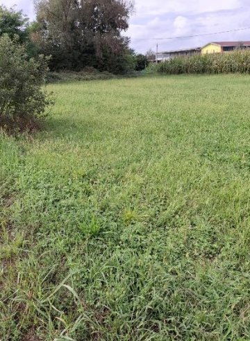 terreno agricolo in vendita a San Giorgio Canavese in zona Cortereggio