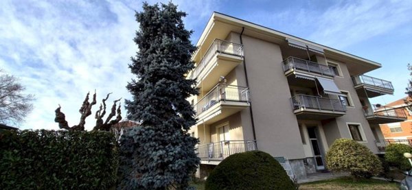 immagine annuncio 0 di 15