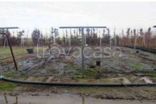 appartamento in vendita ad Acquanegra sul Chiese
