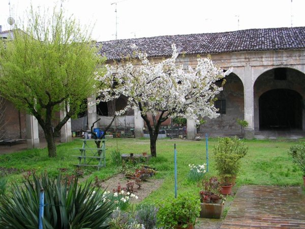 intera palazzina in vendita ad Asola