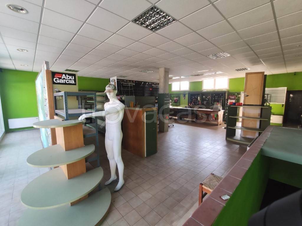 quadrivano in vendita a Bagnolo San Vito in zona San Biagio