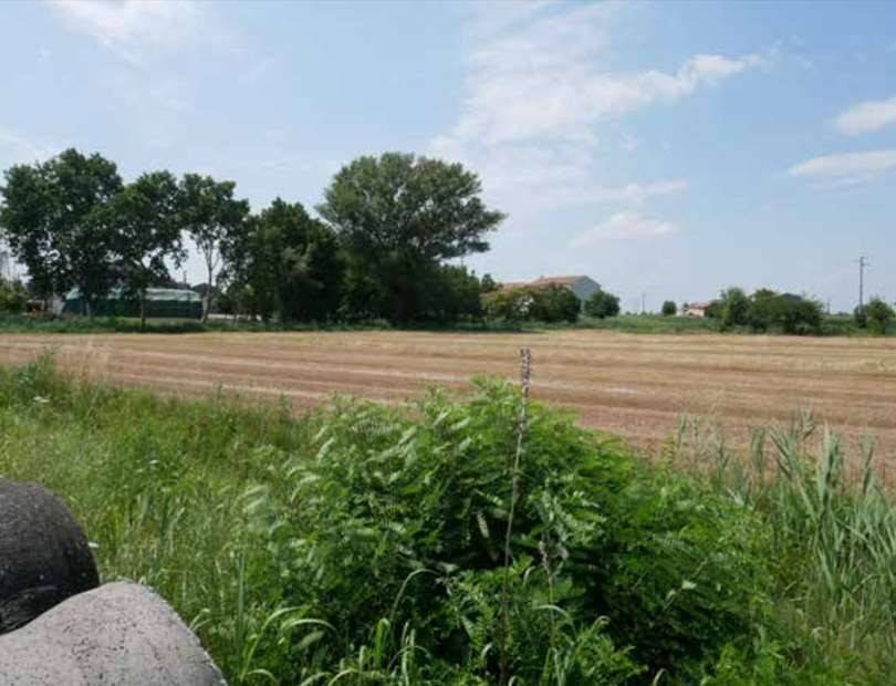 terreno agricolo in vendita a Bagnolo San Vito