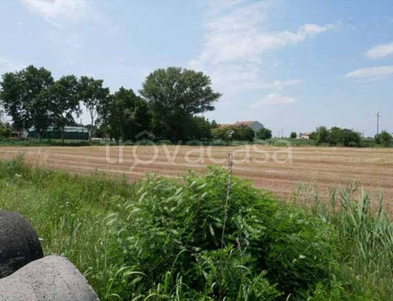 terreno agricolo in vendita a Bagnolo San Vito