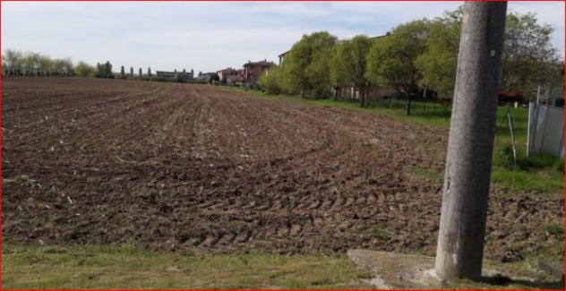terreno agricolo in vendita a Bagnolo San Vito in zona San Biagio