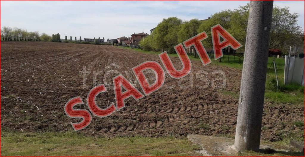 terreno agricolo in vendita a Bagnolo San Vito in zona San Biagio