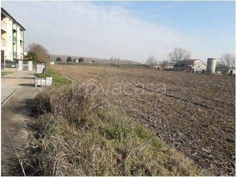terreno agricolo in vendita a Bagnolo San Vito