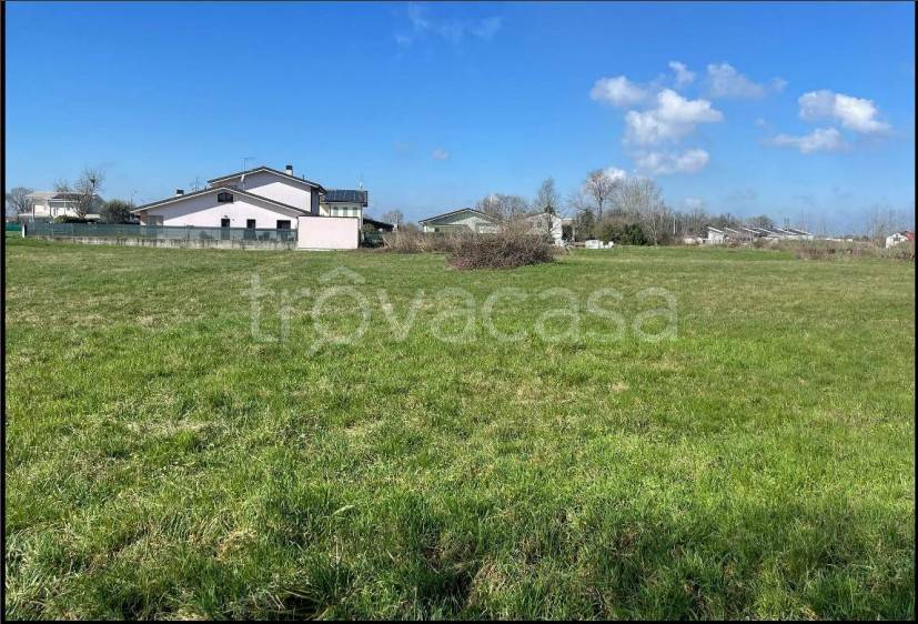 terreno agricolo in vendita a Bagnolo San Vito