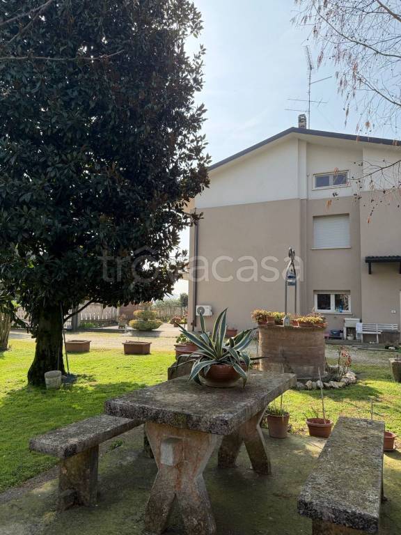 casa indipendente in vendita a Bagnolo San Vito