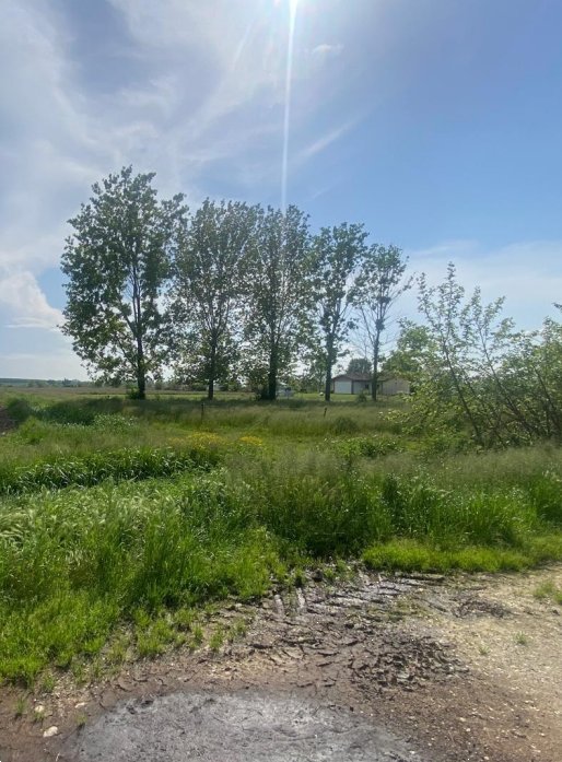 appartamento in vendita a Bagnolo San Vito